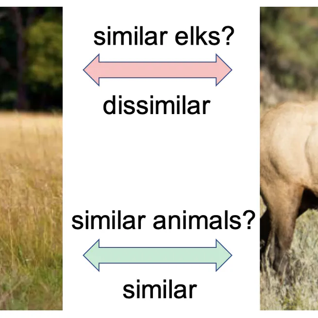 Dynamic Metric Learning: Towards a Scalable Metric Space to Accommodate Multiple Semantic Scales